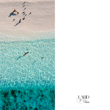 Load image into Gallery viewer, Blue Birds Beach Towel