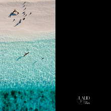 Load image into Gallery viewer, Blue Birds Beach Towel