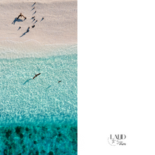 Load image into Gallery viewer, Blue Birds Beach Towel
