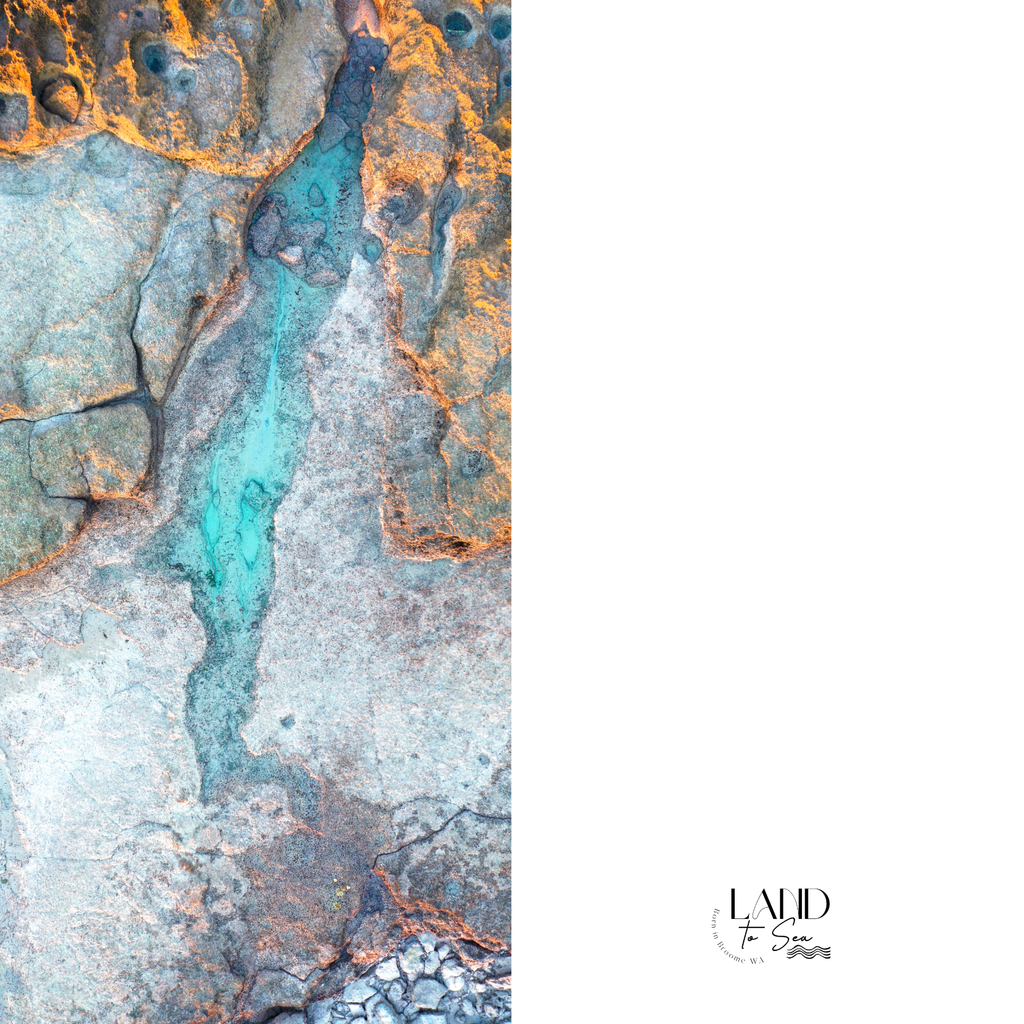 Coconut Wells Pool Beach Towel