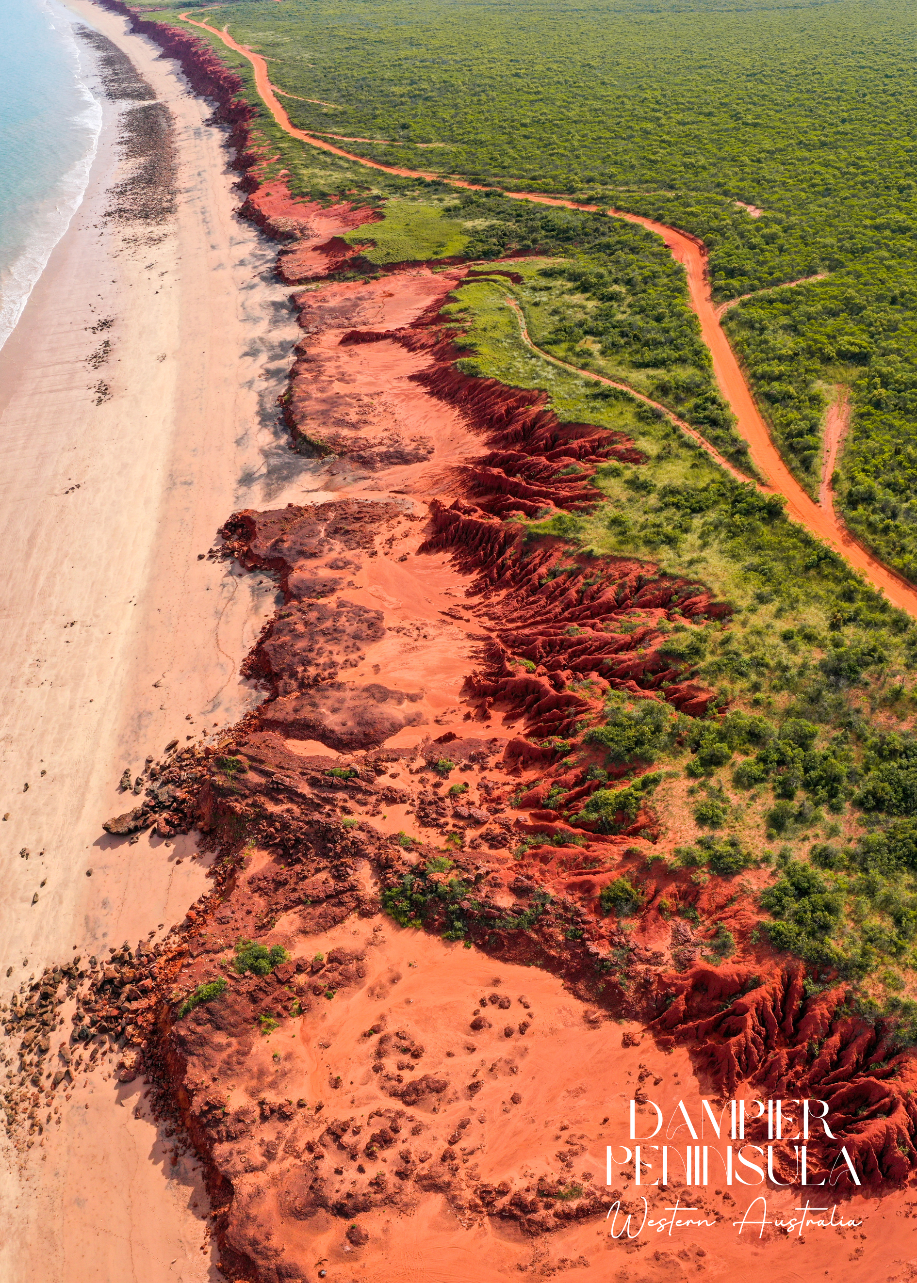 James Price Point Tea Towel