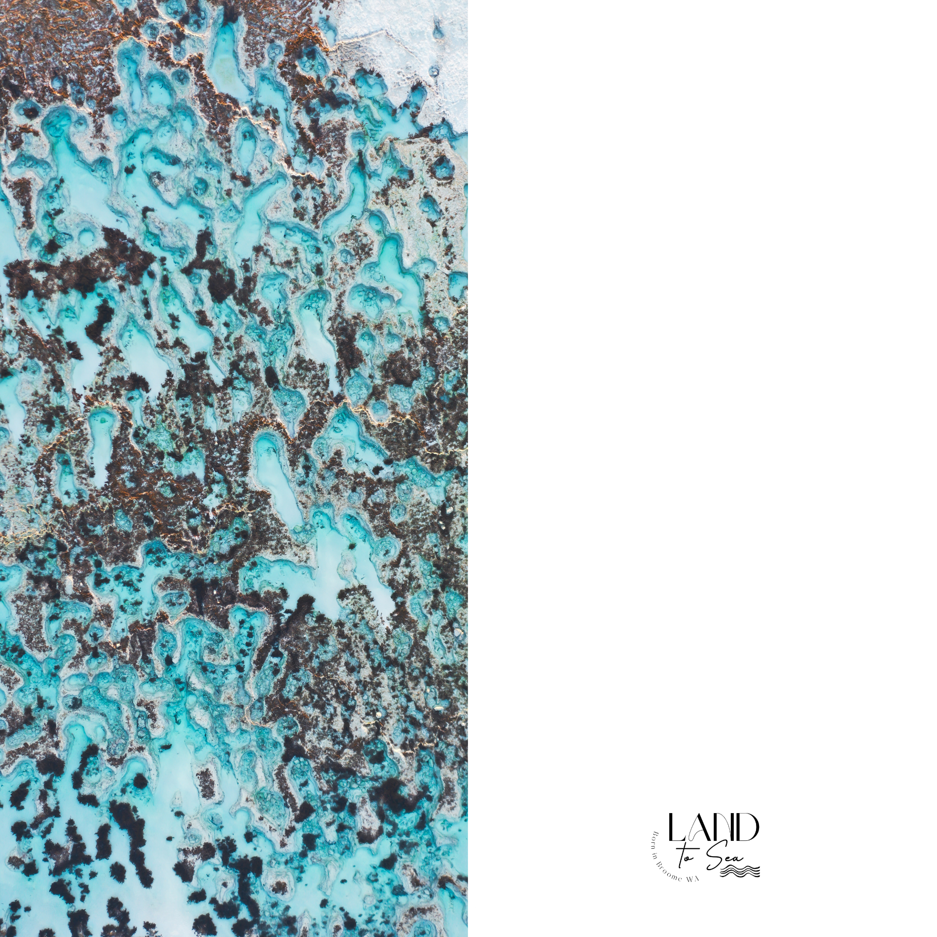 Coconut Wells Beach Towel